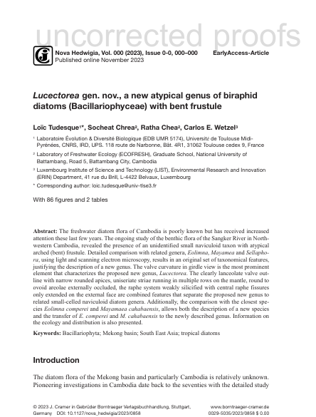 Lucectorea gen. nov., a new atypical genus of biraphid  diatoms (Bacillariophyceae) with bent frustule